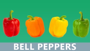 Bell peppers vitamin c