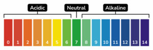 PH Scale for stomach acidity
